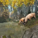 Top DayZ Mods and Maps for Your Server