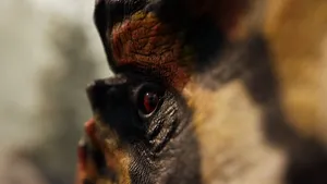 Screenshot of Path of Titans