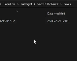 Uploading your Sons Of The Forest save to your server