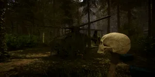Sons of the Forest Server Configuration Guide