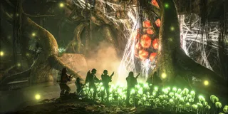 Troubleshooting Common ARK: Survival Evolved Server Issues