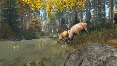 Top DayZ Mods and Maps for Your Server